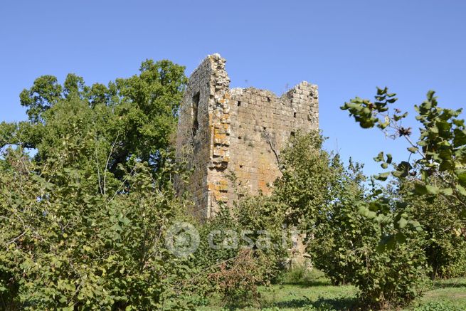 Terreno agricolo in commerciale in LocalitÃ  Querce D'Orlando