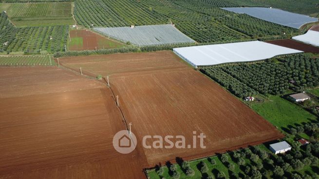 Terreno agricolo in commerciale in Via Leone XII