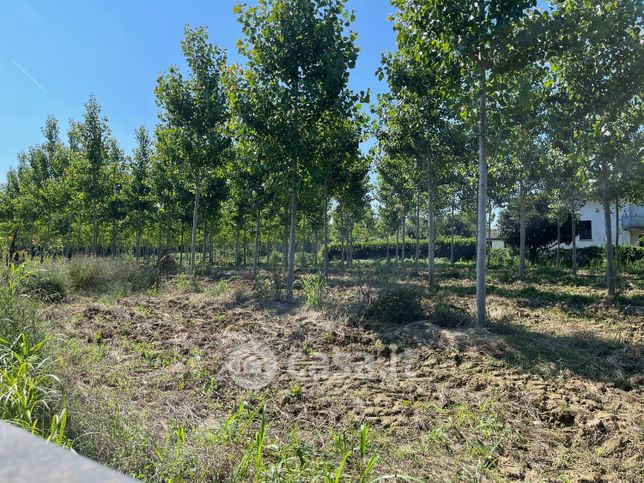 Terreno agricolo in commerciale in Via Piovega Nord