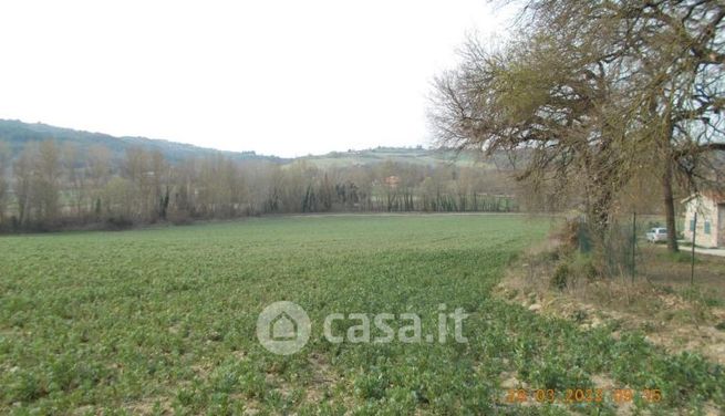 Terreno agricolo in commerciale in Vocabolo Santa Liberata