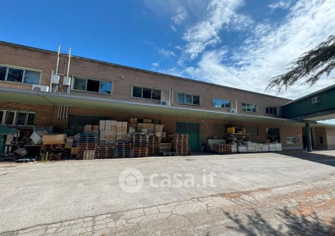 Capannone in commerciale in Via San Donato 5