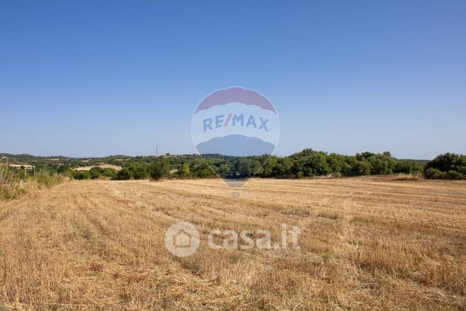 Terreno agricolo in commerciale in Contrada Contessa