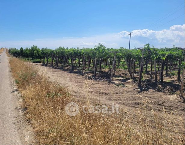 Terreno agricolo in commerciale in Strada Comunale Vecchia di Barletta