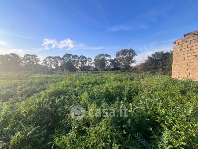 Terreno agricolo in commerciale in Via della Selva Piana 12