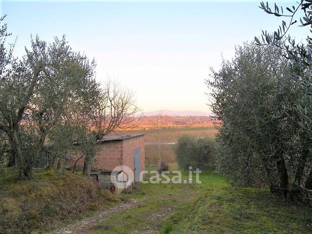 Terreno agricolo in commerciale in 
