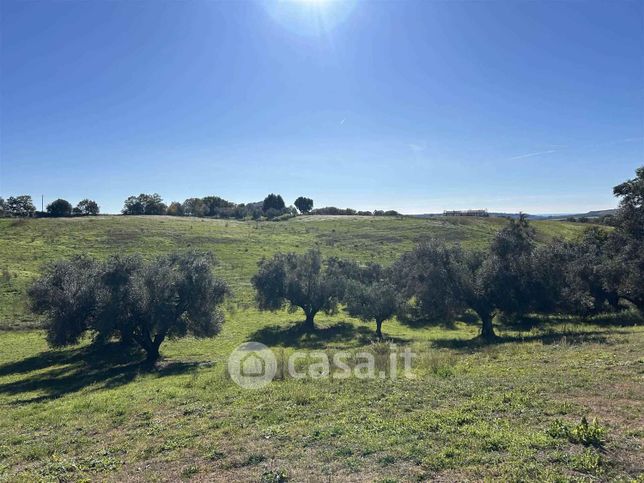 Terreno agricolo in commerciale in 