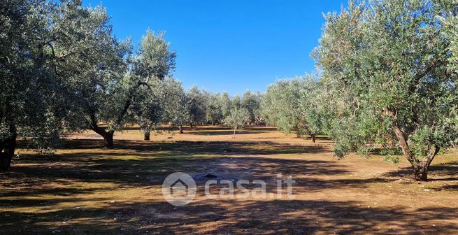 Terreno agricolo in commerciale in agro rosso