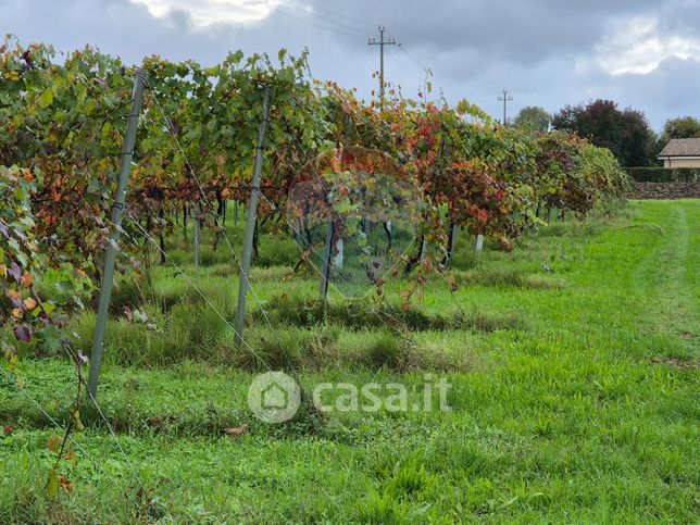 Terreno agricolo in commerciale in Via Canolo