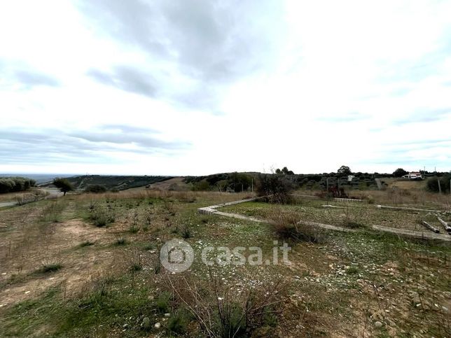 Terreno agricolo in commerciale in Contrada Coppo