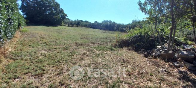 Terreno agricolo in commerciale in Via Colle Prato Nuovo 78