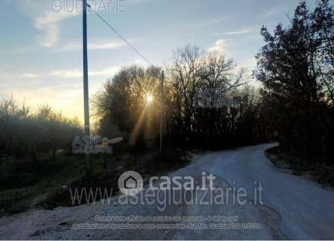 Terreno agricolo in commerciale in Vocabolo Aussa