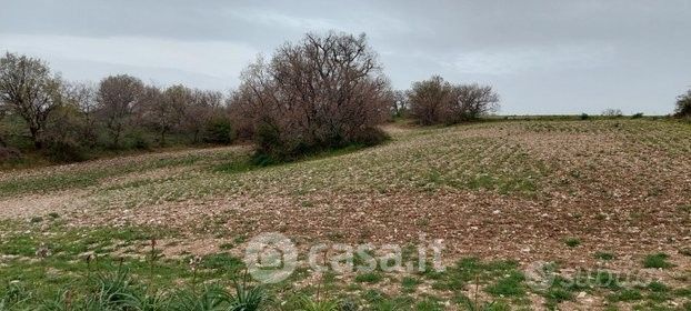 Terreno agricolo in commerciale in Via dei Greci 23