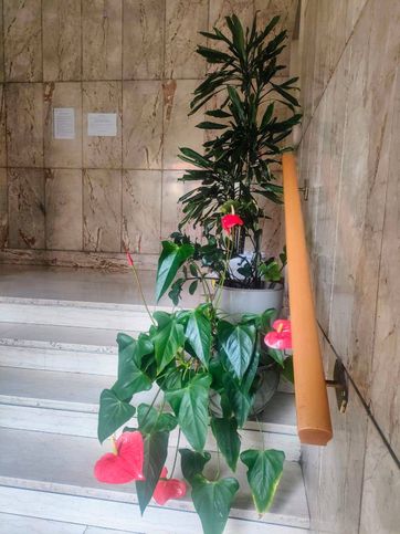 Appartamento in residenziale in