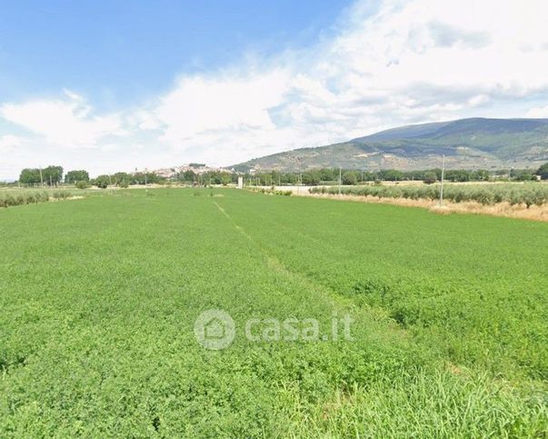 Terreno agricolo in commerciale in Traversa San Cristoforo
