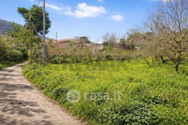 Terreno agricolo in commerciale in Contrada Montagnola