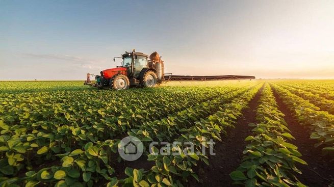 Terreno agricolo in commerciale in 