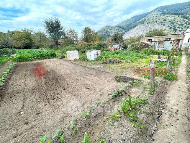 Terreno agricolo in commerciale in Via Pantrice