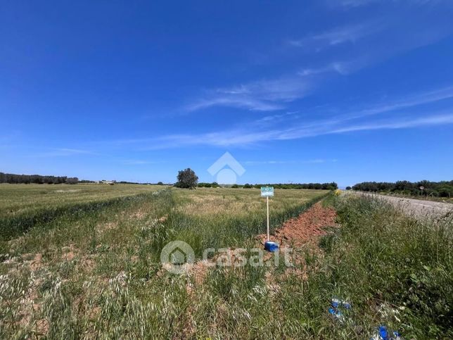 Terreno agricolo in commerciale in Via Adua