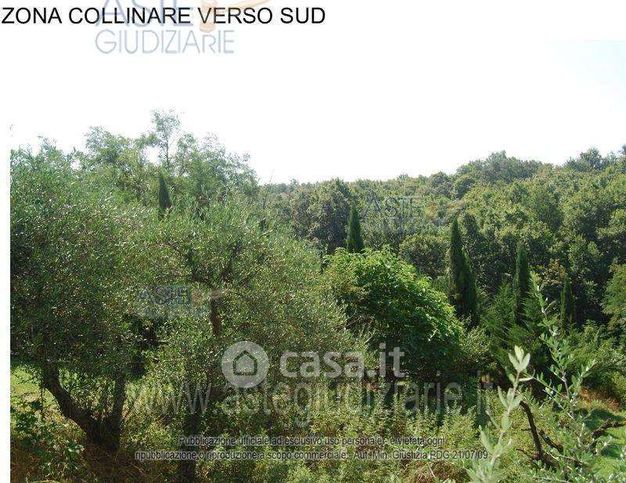 Terreno agricolo in commerciale in Via Cappelletto 25