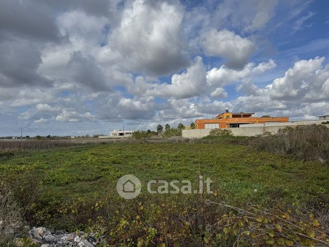 Terreno agricolo in commerciale in Strada vicinale Schiavoni