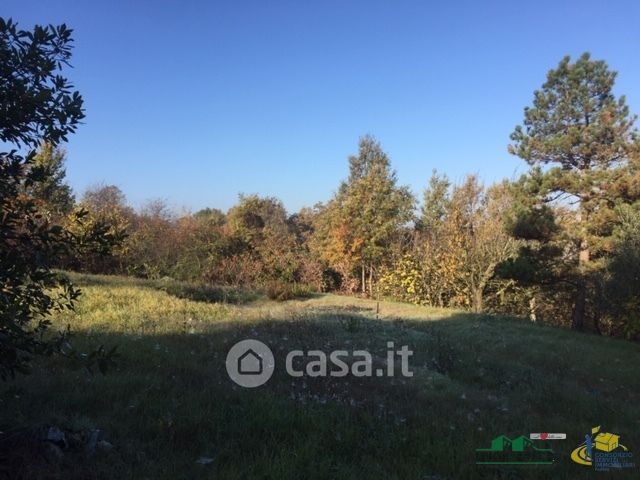 Terreno agricolo in commerciale in Via La Bionda