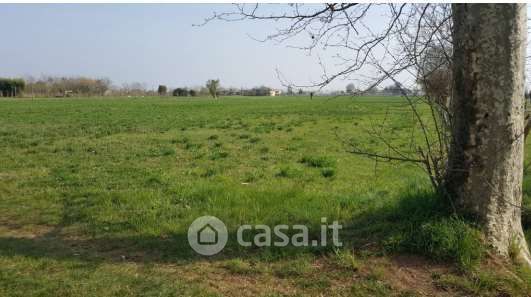 Terreno agricolo in commerciale in Via Castellana