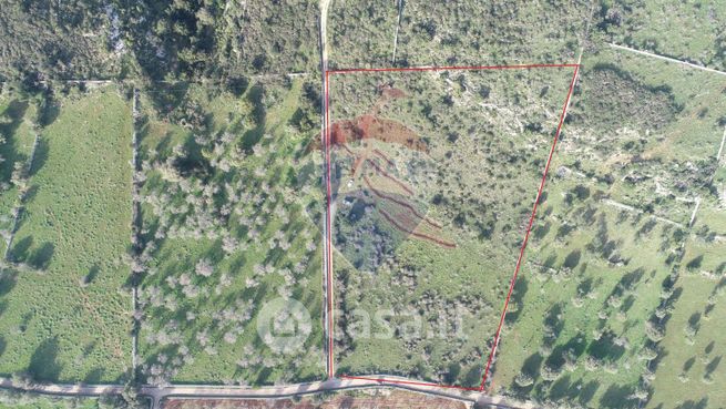 Terreno agricolo in commerciale in Contrada Case Cugni