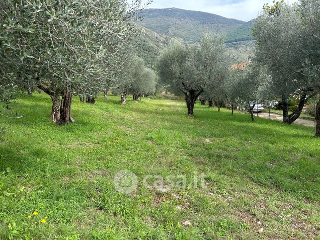 Terreno agricolo in commerciale in Via Quagliarino