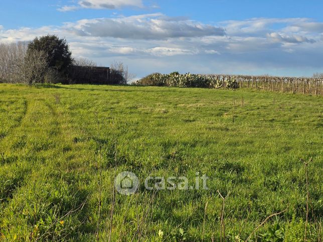 Terreno agricolo in commerciale in Via Nettuno Velletri