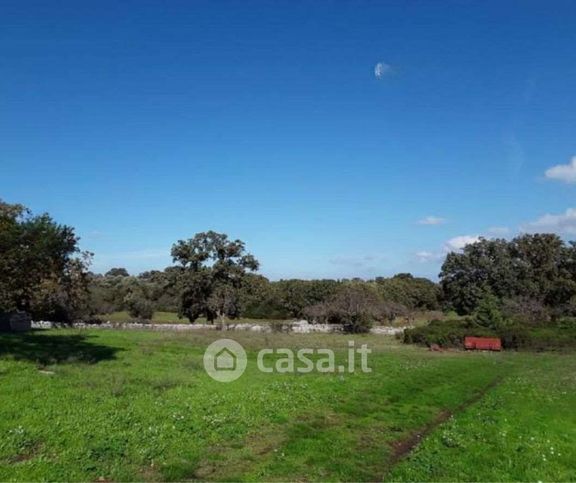 Terreno agricolo in commerciale in Contrada Scarciglia