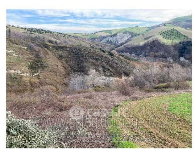 Terreno agricolo in commerciale in 