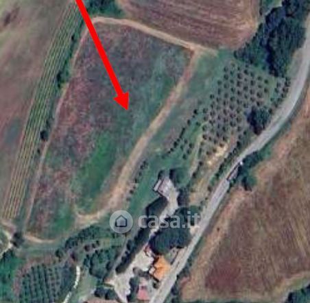 Terreno agricolo in commerciale in Loc. La Villa