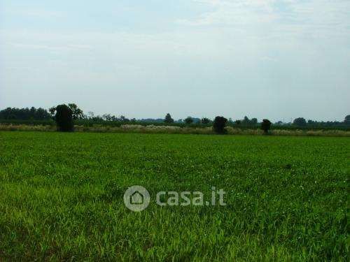 Terreno agricolo in commerciale in Via Casorezzo