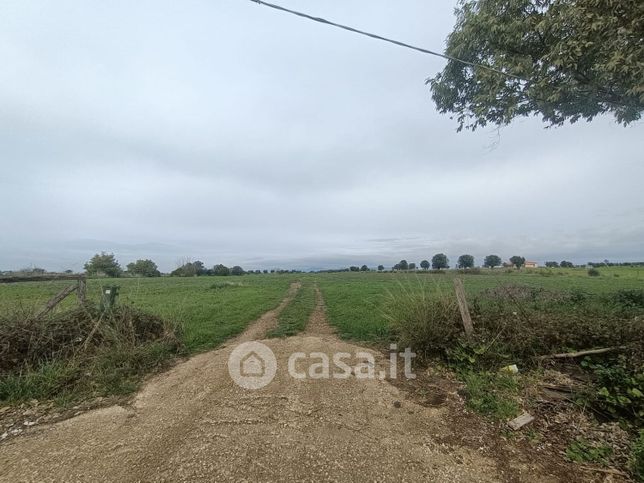 Terreno agricolo in commerciale in Via Giovanni Battista Raimondi