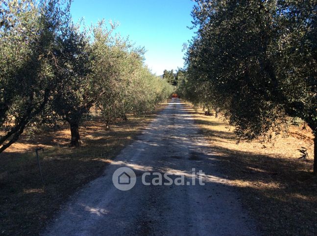 Rustico/casale in residenziale in Strada Pedemontana