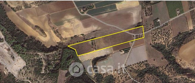 Terreno agricolo in commerciale in Contrada casone dogana