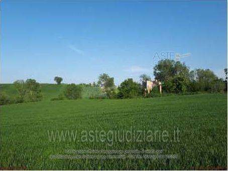 Terreno agricolo in commerciale in Località Fondiglie