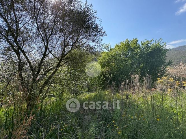 Terreno agricolo in commerciale in Via Fontana