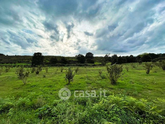 Terreno agricolo in commerciale in Strada Vicinale della Dogana