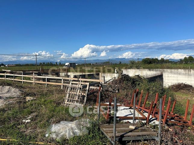 Terreno agricolo in commerciale in Via Toffanelle Nuove