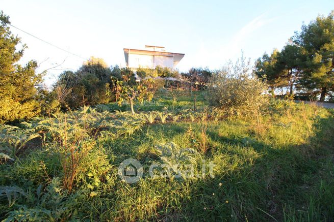 Terreno edificabile in residenziale in Viale Vittorio Veneto