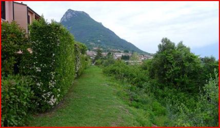 Terreno agricolo in commerciale in Via Andrea del Sarto