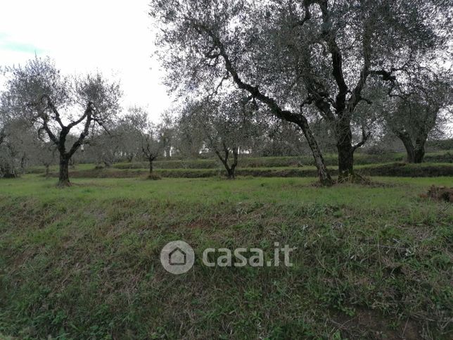 Terreno agricolo in commerciale in 