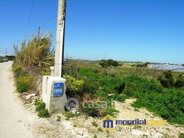 Terreno agricolo in commerciale in Strada Maucini