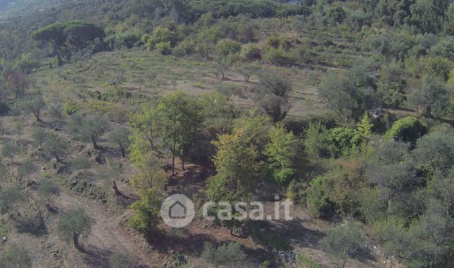 Terreno agricolo in commerciale in Via Poggi