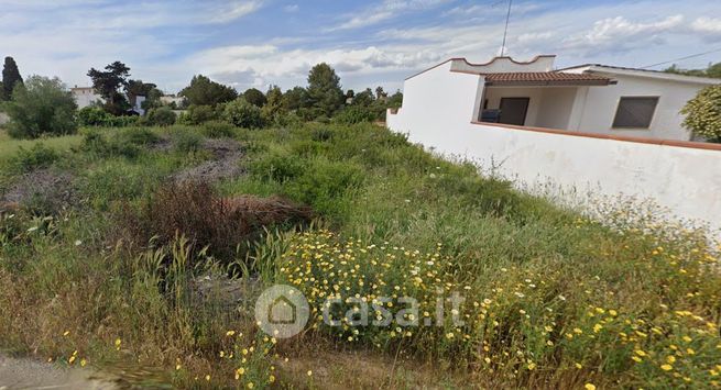 Terreno agricolo in commerciale in Via delle Mimose 33
