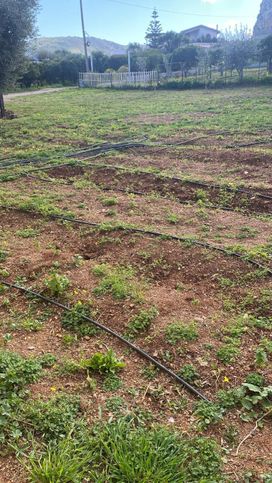 Terreno agricolo in commerciale in Contrada Naso