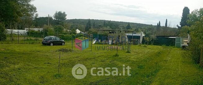 Terreno agricolo in commerciale in Via Don Maggini