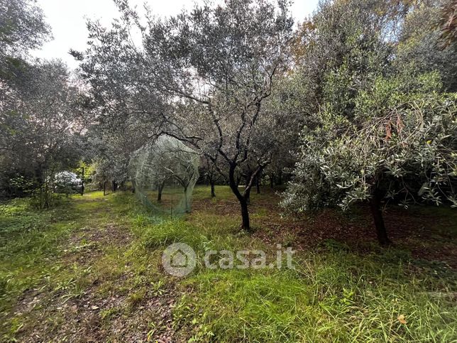 Terreno agricolo in commerciale in 