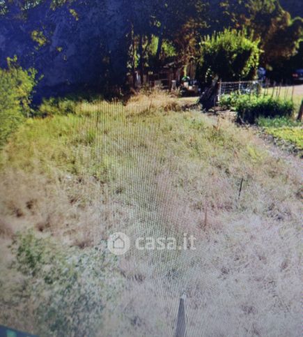 Terreno agricolo in commerciale in 